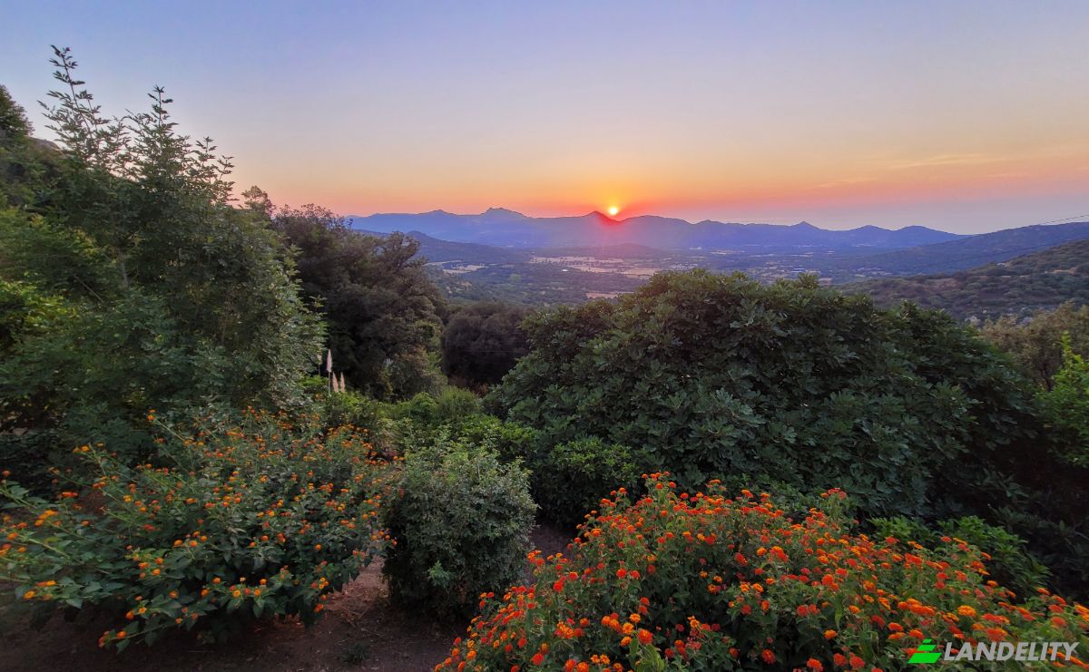 Investing/Development for Sale 4 Rimessa, 20226 Belgodere, Belgodere, Haute-Corse, Corsica, France. Photo 4