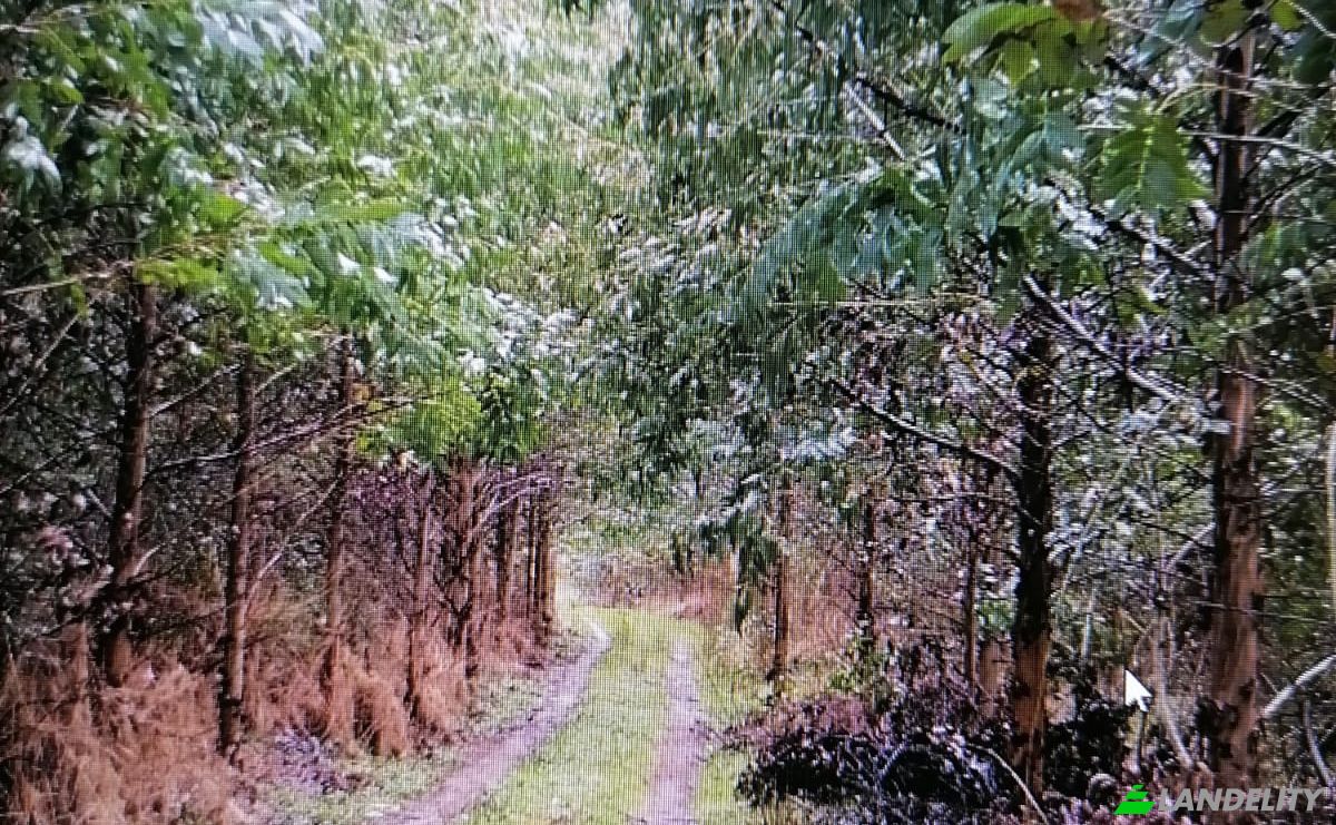 Investimento/Desenvolvimento à venda Via Sin Nombre, Mariquina, Quechuco, Valdivia Province, Los Rios, Chile. foto 1
