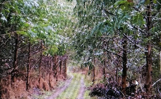 Investing/Development for Sale - Quechuco, Chile