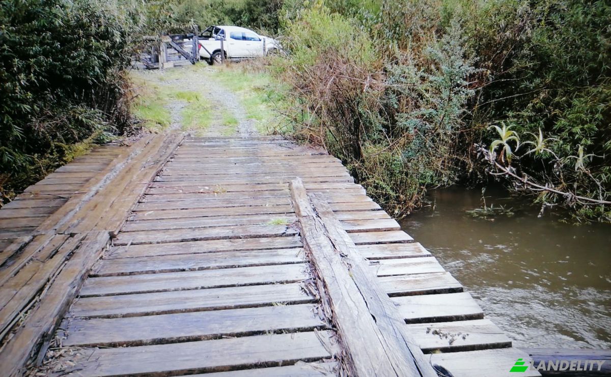 Investimento/Desenvolvimento à venda Via Sin Nombre, Mariquina, Quechuco, Valdivia Province, Los Rios, Chile. foto 2