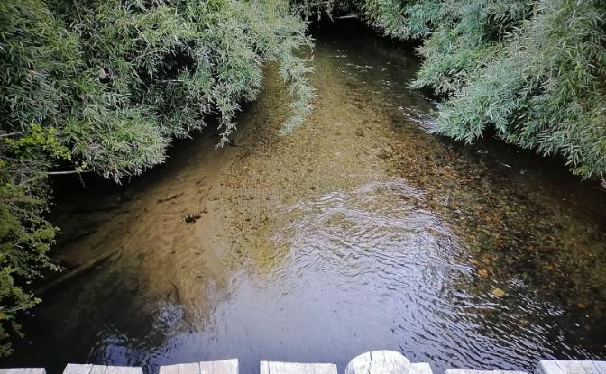 Investimento/Desenvolvimento à venda Via Sin. foto#3