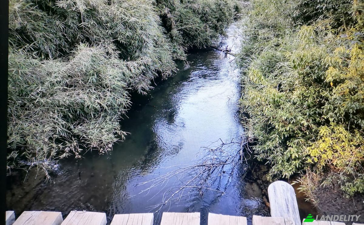 Investimento/Desenvolvimento à venda Via Sin Nombre, Mariquina, Quechuco, Valdivia Province, Los Rios, Chile. foto 5