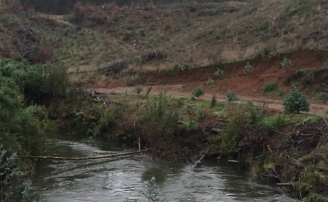 Investimento/Desenvolvimento à venda Via Sin. foto#7