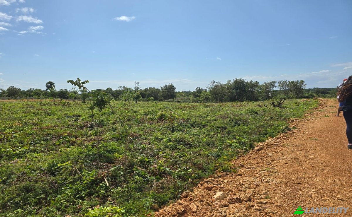 Land Lot for Sale Diani Beach Road, Diani Beach, Msambweni, Kwale County, Kenya. Photo 1