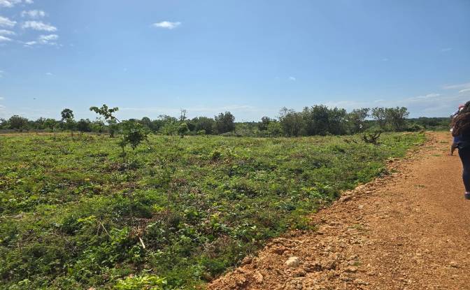 Land Lot for Sale - Diani Beach, Kenya