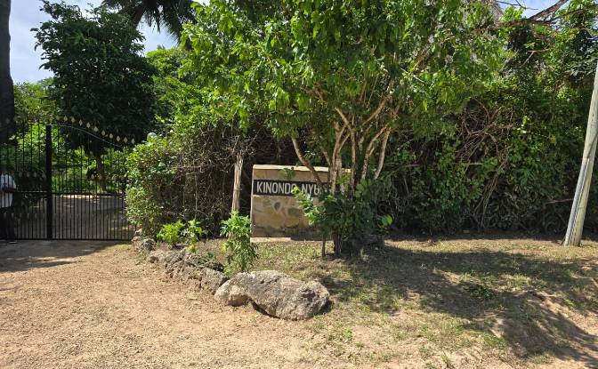 Land Lot for Sale Diani Beach Road, Diani Beach. Photo#10 Land Lot for Sale Diani Beach Road, Diani Beach. Photo#10
