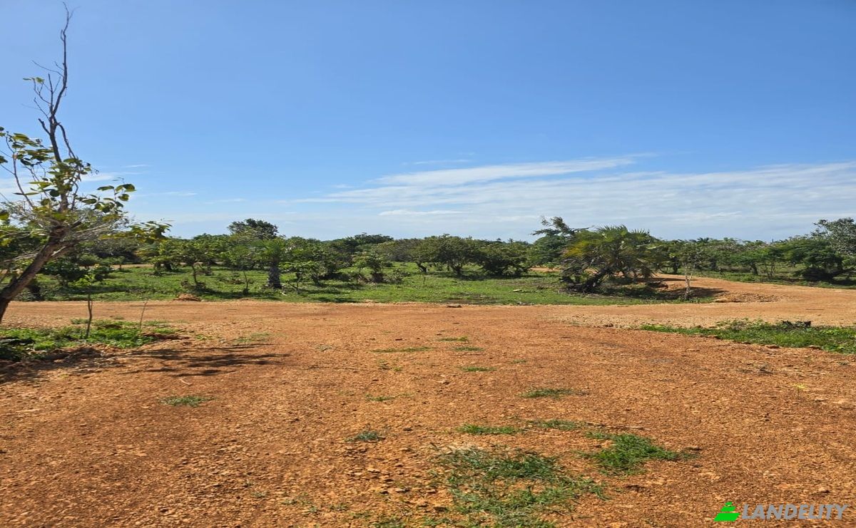 Land Lot for Sale Diani Beach Road, Diani Beach, Msambweni, Kwale County, Kenya. Photo 2