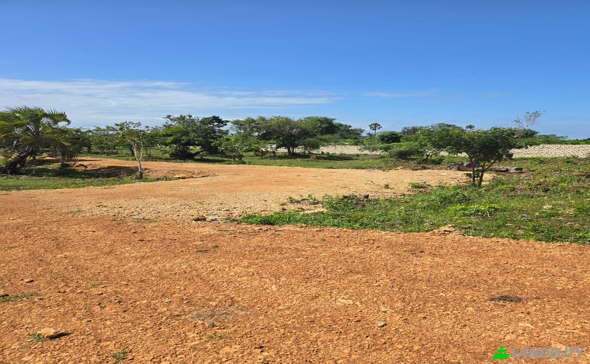 Land Lot for Sale Diani Beach Road, Diani Beach, Msambweni, Kwale County, Kenya. Photo 3