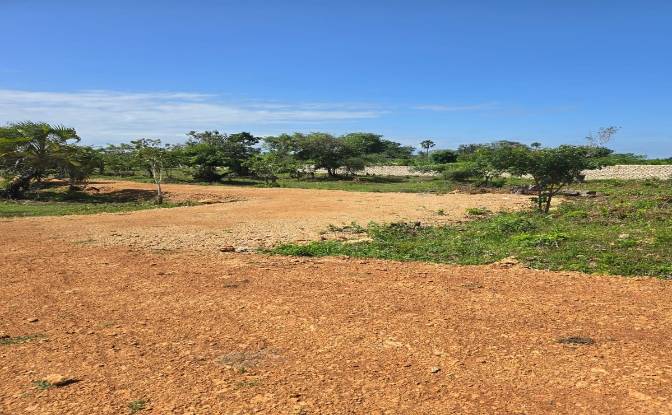 Land Lot for Sale Diani Beach Road, Diani Beach. Photo#3 Land Lot for Sale Diani Beach Road, Diani Beach. Photo#3