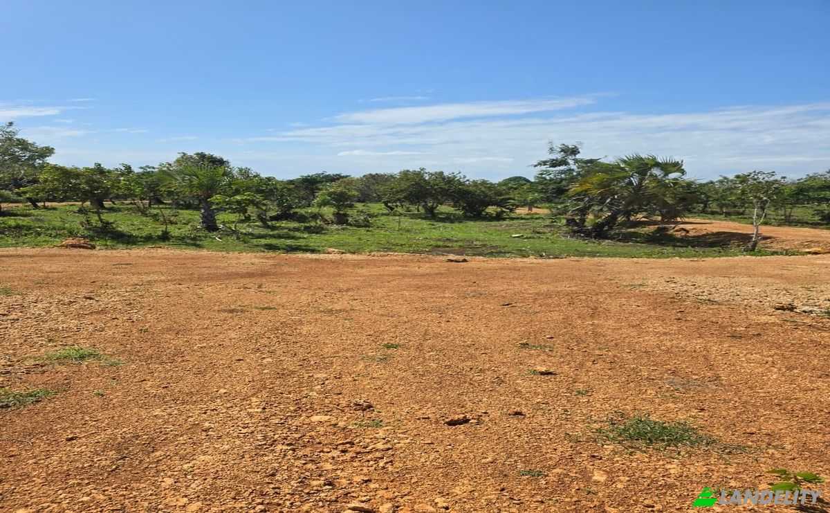 Land Lot for Sale Diani Beach Road, Diani Beach, Msambweni, Kwale County, Kenya. Photo 5