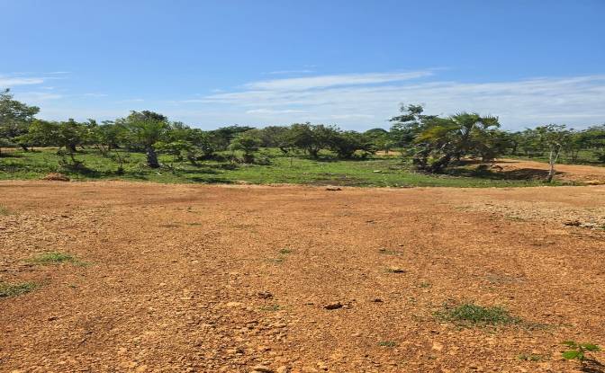 Land Lot for Sale Diani Beach Road, Diani Beach. Photo#5 Land Lot for Sale Diani Beach Road, Diani Beach. Photo#5
