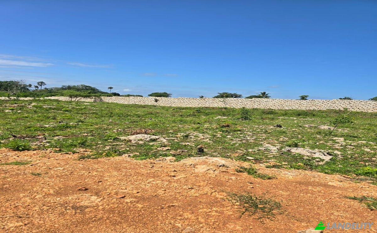 Land Lot for Sale Diani Beach Road, Diani Beach, Msambweni, Kwale County, Kenya. Photo 7