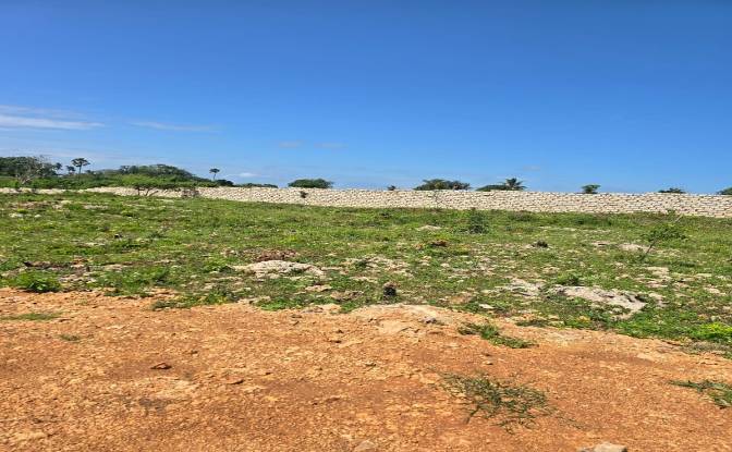 Land Lot for Sale Diani Beach Road, Diani Beach. Photo#7 Land Lot for Sale Diani Beach Road, Diani Beach. Photo#7