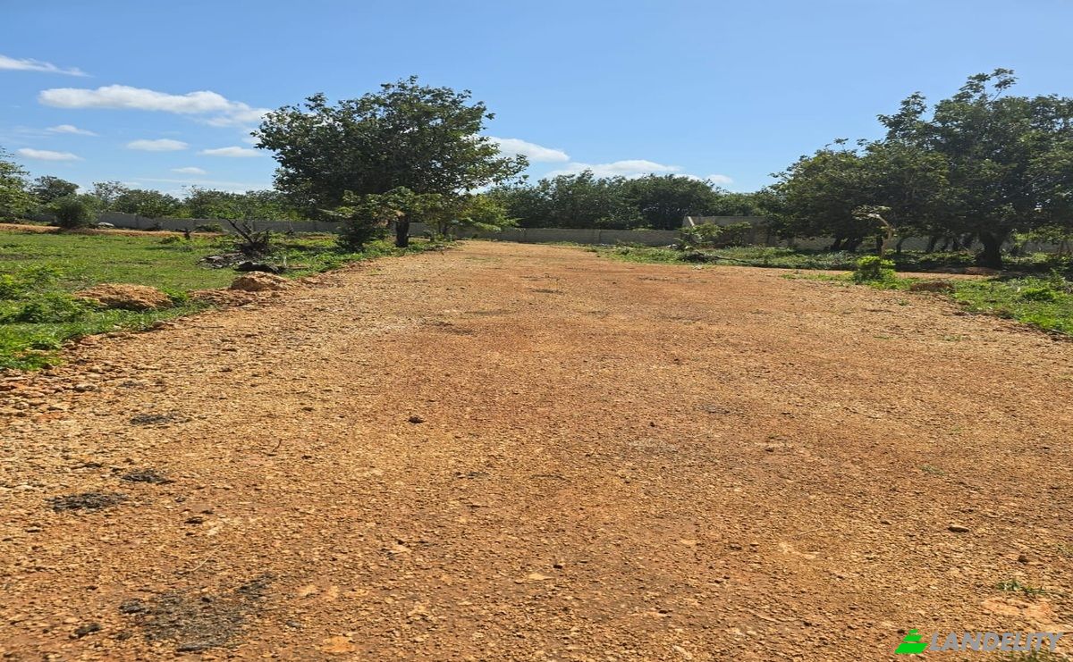 Land Lot for Sale Diani Beach Road, Diani Beach, Msambweni, Kwale County, Kenya. Photo 8