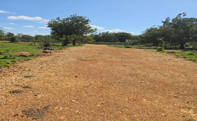 Land Lot for Sale Diani Beach Road, Diani Beach. Photo#8 Land Lot for Sale Diani Beach Road, Diani Beach. Photo#8