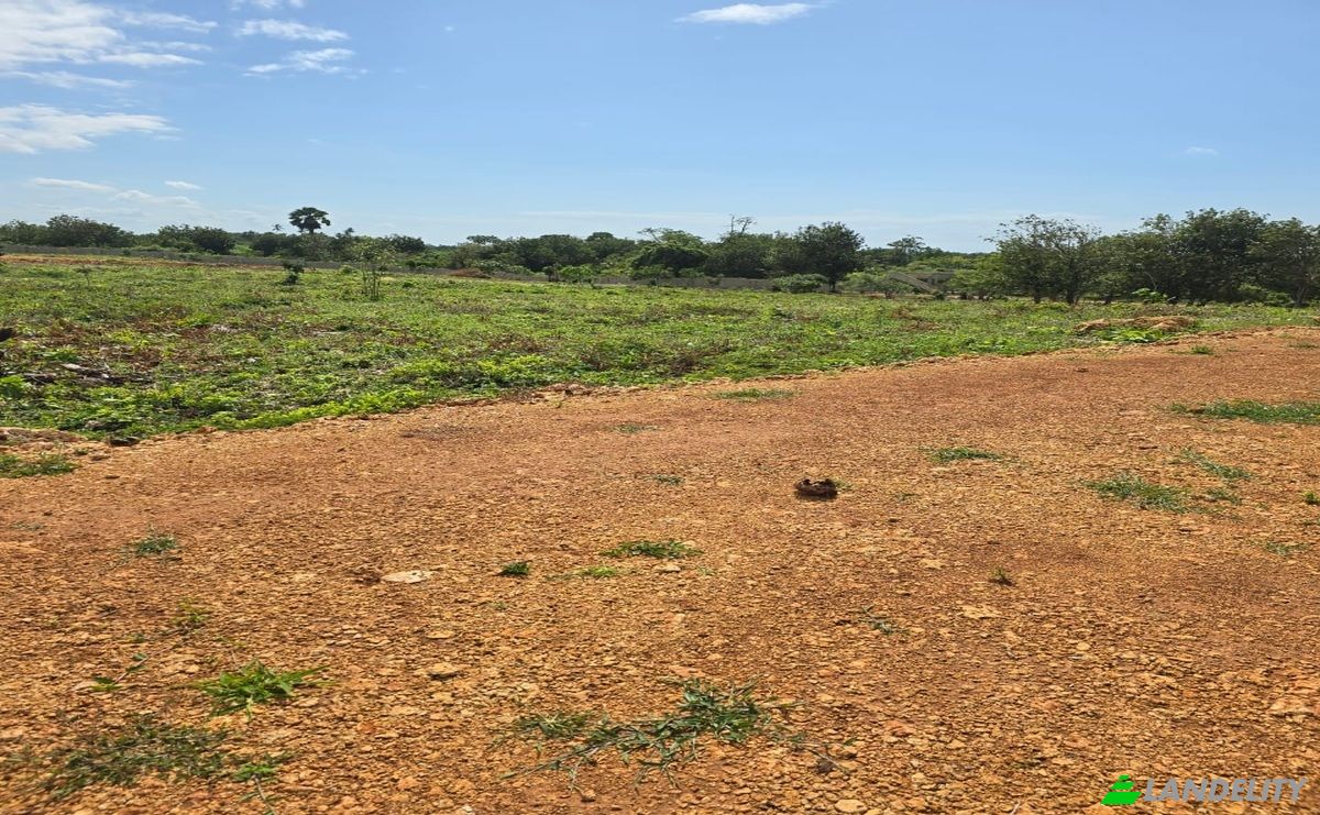 Land Lot for Sale Diani Beach Road, Diani Beach, Msambweni, Kwale County, Kenya. Photo 9