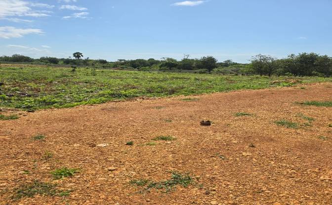 Land Lot for Sale Diani Beach Road, Diani Beach. Photo#9 Land Lot for Sale Diani Beach Road, Diani Beach. Photo#9