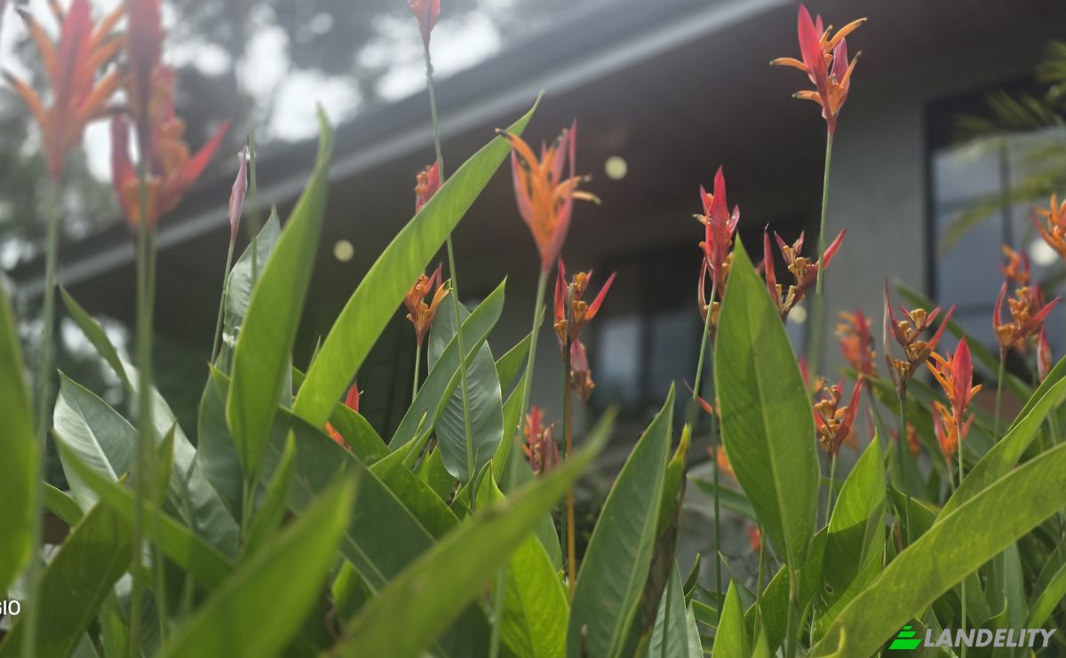 Casa unifamiliare in vendita San Jose Province, Perez Zeledon, Costa Rica. Foto 8