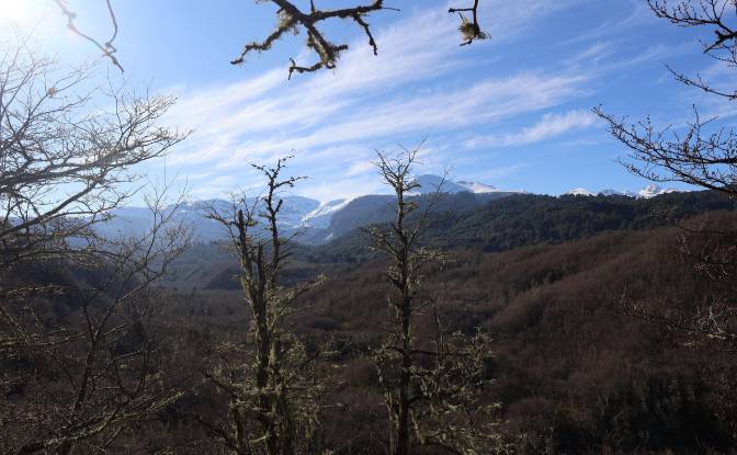 Land Lot for Sale - Curarrehue, Chile