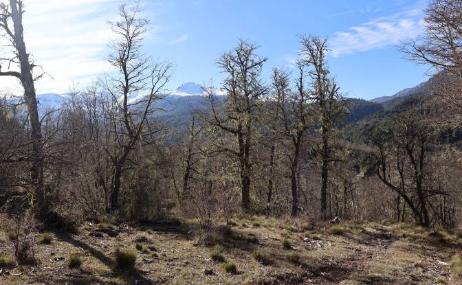Lotto di terreno in vendita Via Sin Nombre. Foto#2