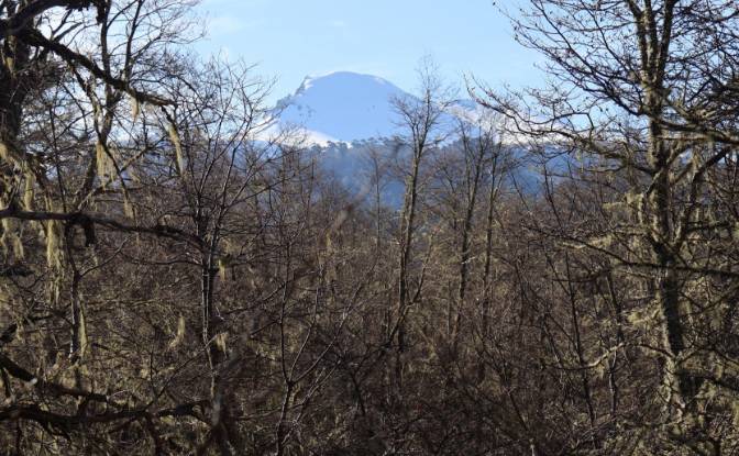 Lotto di terreno in vendita Via Sin Nombre. Foto#3