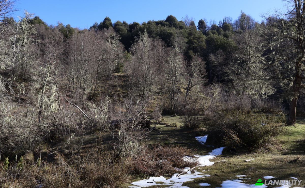 Lotto di terreno in vendita Via Sin Nombre, Curarrehue, Cautin Province, Araucania, Chile. Foto 4