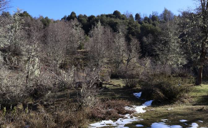 Lotto di terreno in vendita Via Sin Nombre. Foto#4