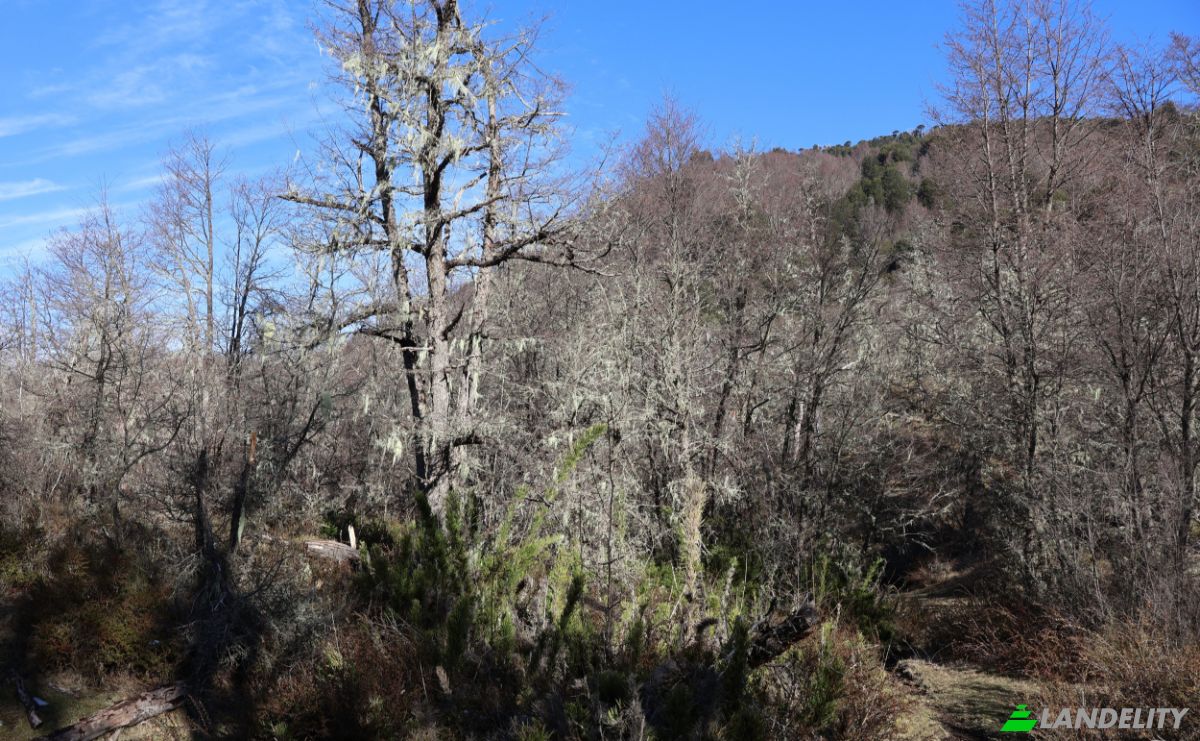 Lotto di terreno in vendita Via Sin Nombre, Curarrehue, Cautin Province, Araucania, Chile. Foto 5