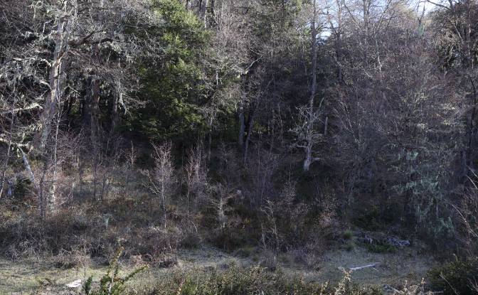 Lotto di terreno in vendita Via Sin Nombre. Foto#6
