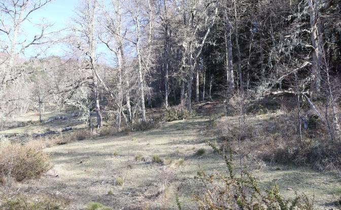 Lotto di terreno in vendita Via Sin Nombre. Foto#7