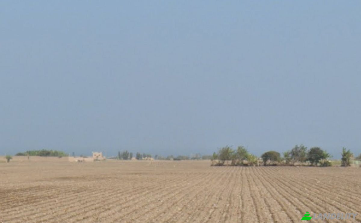 Investing/Development for Sale Au Panamericana N 90, 15130, Chancayllo, Huaral Province, Lima Region, Peru. Photo 1