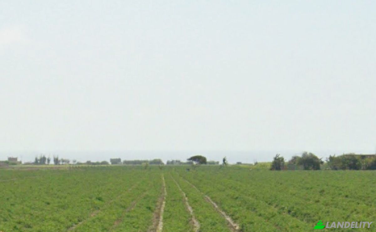 Investing/Development for Sale Au Panamericana N 90, 15130, Chancayllo, Huaral Province, Lima Region, Peru. Photo 2