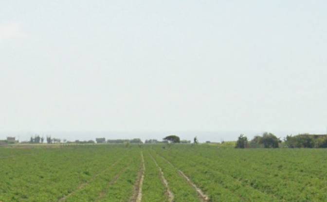 Investing/Development for Sale Au Panamericana N. Photo#2 Investing/Development for Sale Au Panamericana N. Photo#2