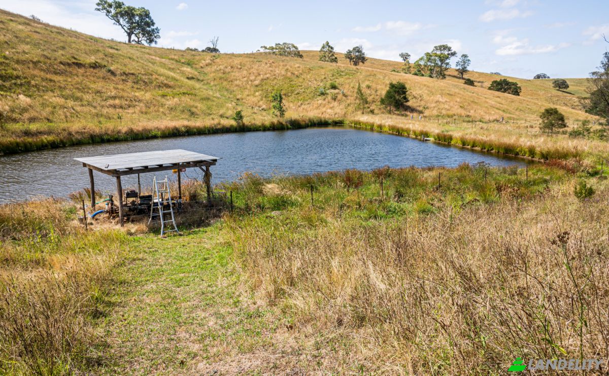 Farm/Ranch for Sale 222 Warrigal Range Rd, Brogo NSW 2550, Brogo, Bega Valley Shire Council, New South Wales, Australia. Photo 15