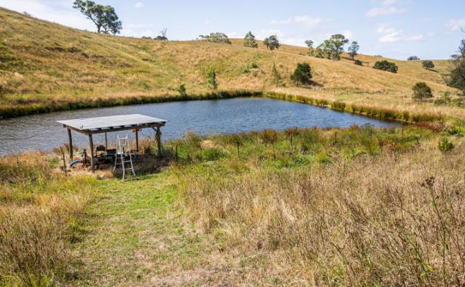 Farm/Ranch for Sale 222 Warrigal Range Rd. Photo#15