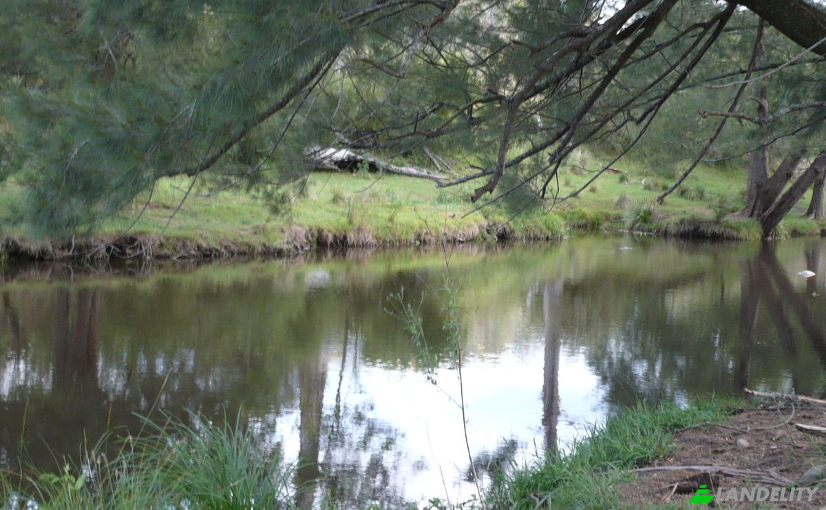 Farm/Ranch for Sale 222 Warrigal Range Rd, Brogo NSW 2550, Brogo, Bega Valley Shire Council, New South Wales, Australia. Photo 20