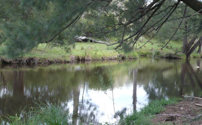 Farm/Ranch for Sale 222 Warrigal Range Rd. Photo#20