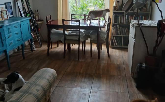 Duplex for Sale Av Nueva Villarrica 1105. Photo#12 Duplex for Sale Av Nueva Villarrica 1105. Photo#12