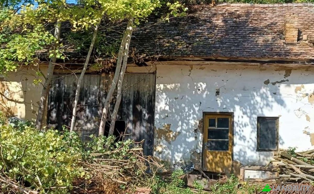 Single Family Home for Sale Fazekasboda, Pecsvarad District, Baranya, Hungary, Patak u 3, 7732 Hungary. Photo 3