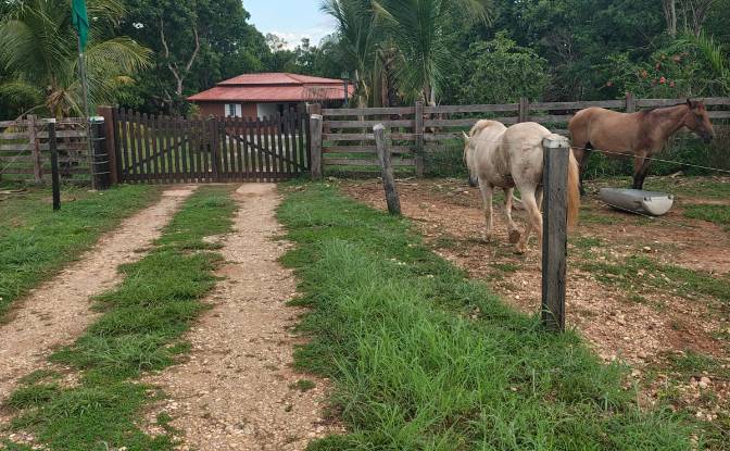 Investing/Development for Sale - Alto Paraguai, Brazil