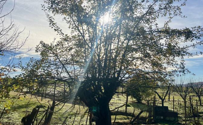 Maison unifamiliale à vendre Varfolde. Photo#4