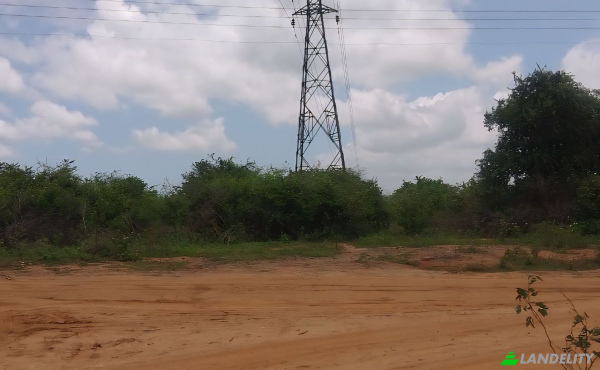 Investeren/Ontwikkelen Te koop B631, Gonnoruwa, Hambantota, Southern Province, Sri Lanka. Foto 2
