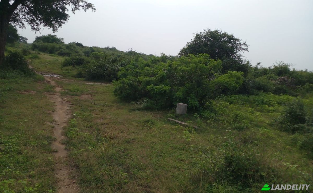 Investeren/Ontwikkelen Te koop B631, Gonnoruwa, Hambantota, Southern Province, Sri Lanka. Foto 4