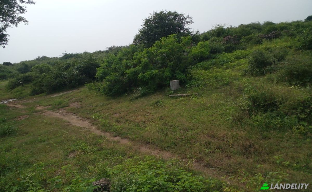 Investeren/Ontwikkelen Te koop B631, Gonnoruwa, Hambantota, Southern Province, Sri Lanka. Foto 5