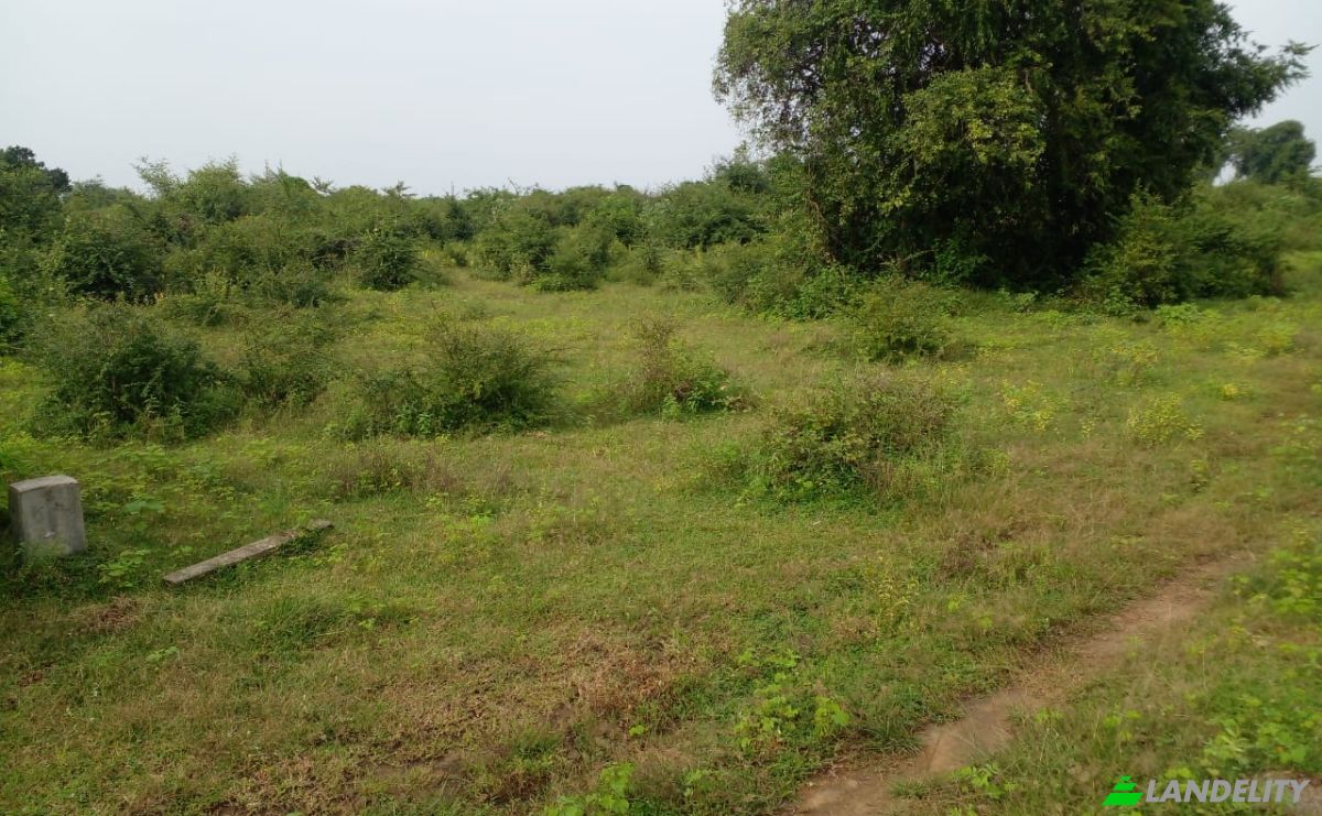 Investeren/Ontwikkelen Te koop B631, Gonnoruwa, Hambantota, Southern Province, Sri Lanka. Foto 6
