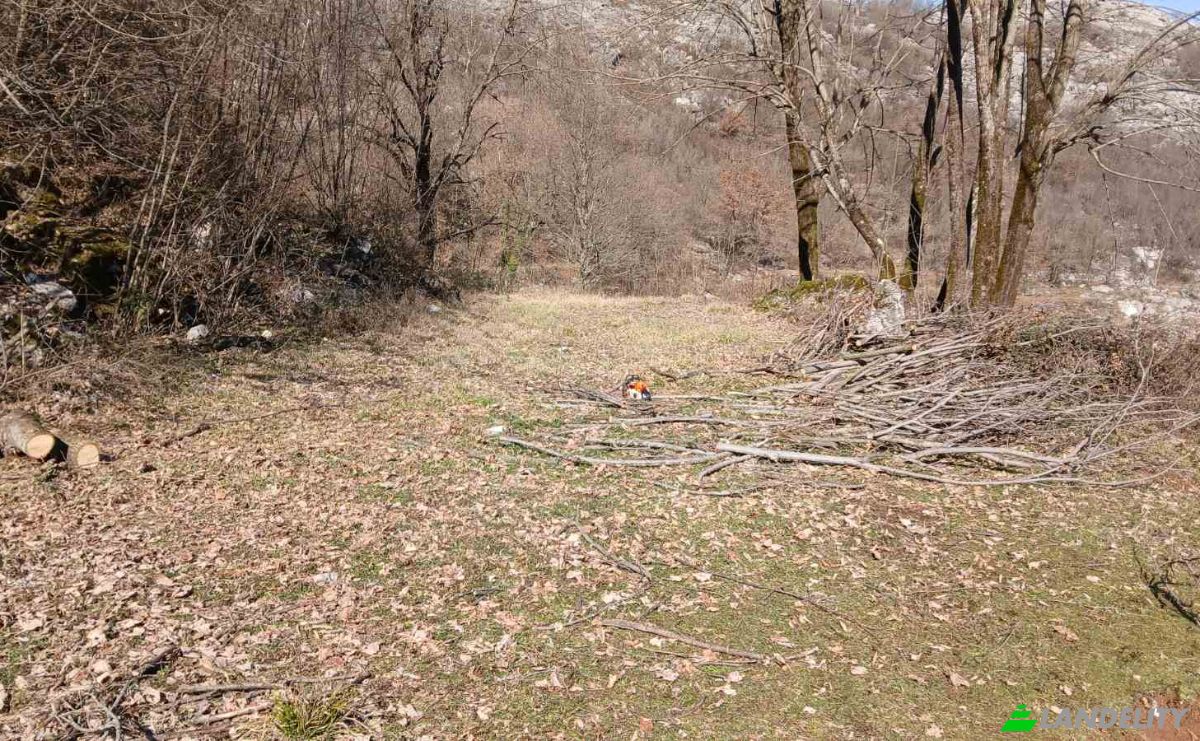 Farm/Ranch for Sale Neimenovani Put, Stitari, Cetinje Municipality, Montenegro. Photo 4