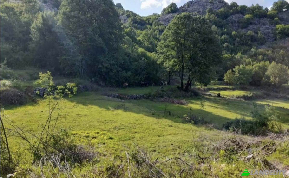 Farm/Ranch for Sale Neimenovani Put, Stitari, Cetinje Municipality, Montenegro. Photo 2