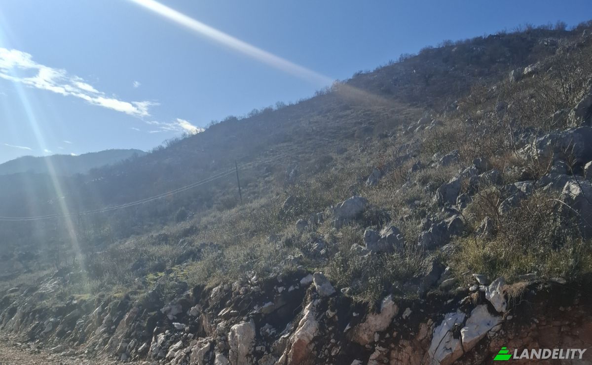 Farm/Ranch for Sale Neimenovani Put, Stitari, Cetinje Municipality, Montenegro. Photo 8