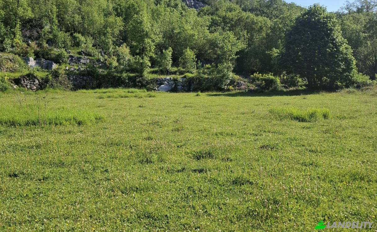 Farm/Ranch for Sale Neimenovani Put, Stitari, Cetinje Municipality, Montenegro. Photo 6