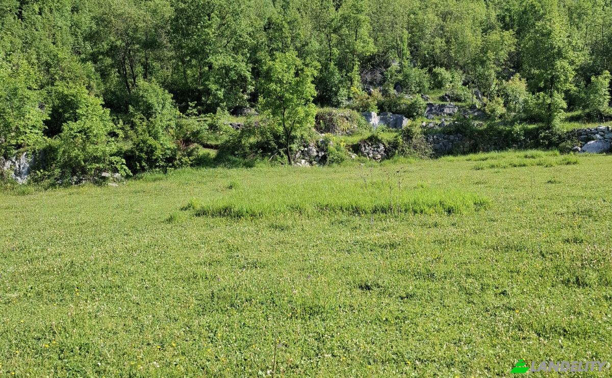 Farm/Ranch for Sale Neimenovani Put, Stitari, Cetinje Municipality, Montenegro. Photo 5